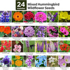 25,000+ Wildflower Seeds Mix 1 Oz, 24 Varieties Perennial & Annual Seeds For Hummingbirds And Butterflies, High Germination Flower Seeds Throw And Grow To Plant Outside, No Filler