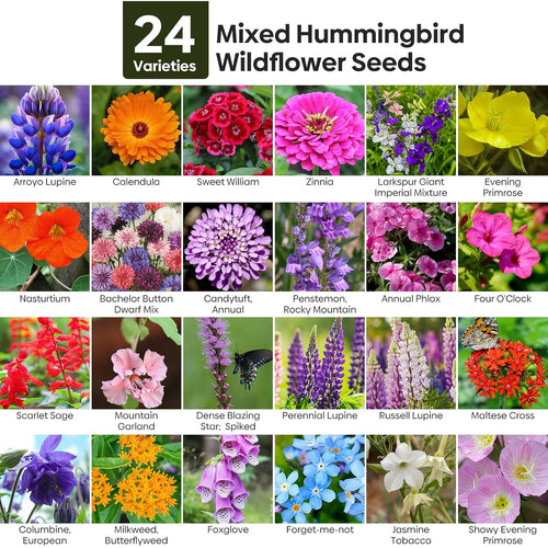 25,000+ Wildflower Seeds Mix 1 Oz, 24 Varieties Perennial & Annual Seeds For Hummingbirds And Butterflies, High Germination Flower Seeds Throw And Grow To Plant Outside, No Filler