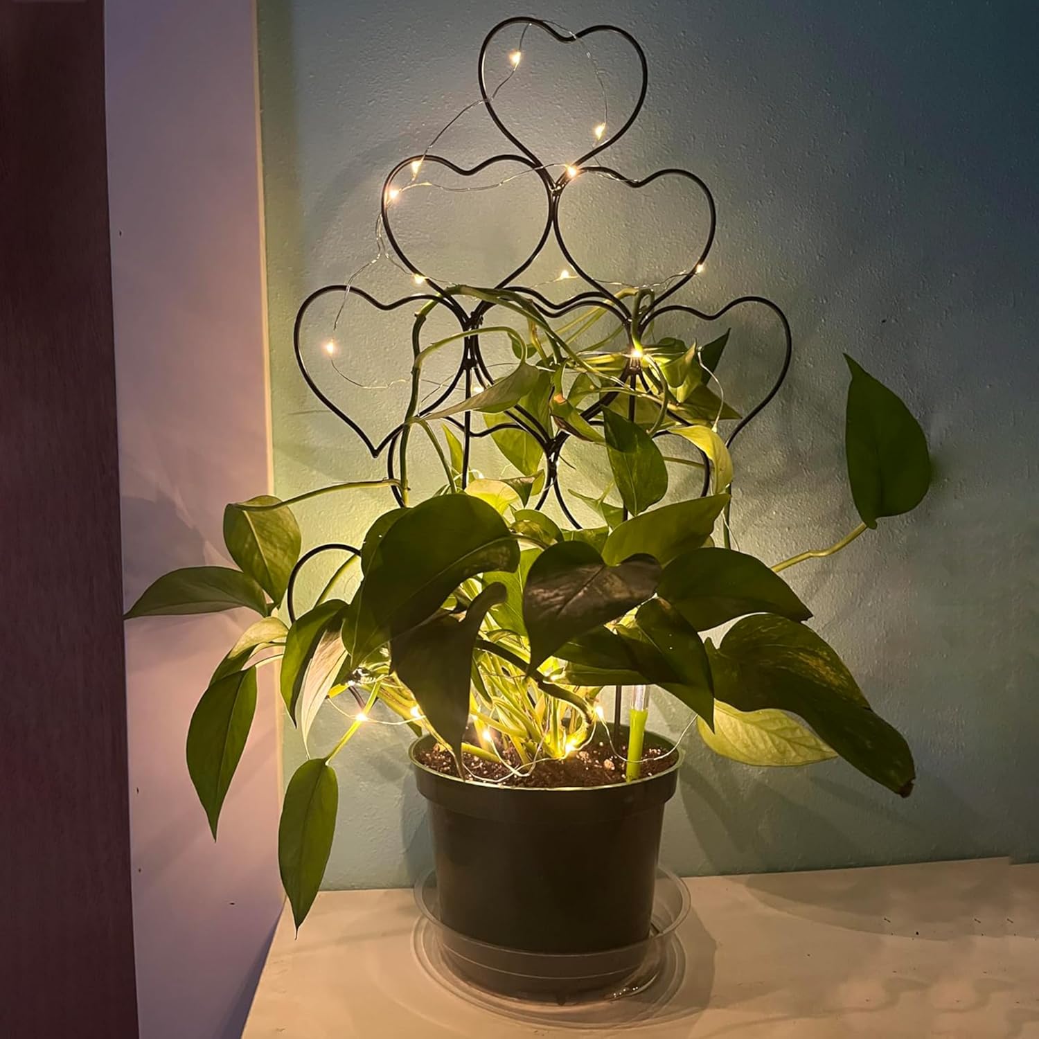 Plant Trellis For Climbing Plants Indoor Outdoor, Trlzey 3 Pack Stackable Metal Trellis - Small Garden Trellis For Potted Plants, Vine Support For Ivy, Flowers, Diy Home Deco