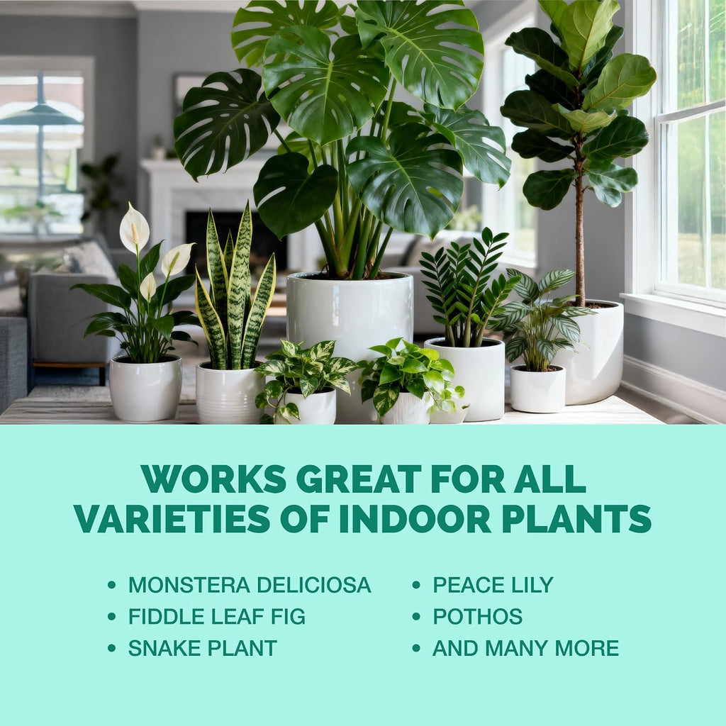 Indoor Plant Food – Liquid Fertilizer For Houseplants, New Growth, Greener Leaves, And Strong Roots, 8Oz