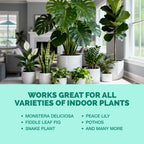 Indoor Plant Food – Liquid Fertilizer For Houseplants, New Growth, Greener Leaves, And Strong Roots, 8Oz