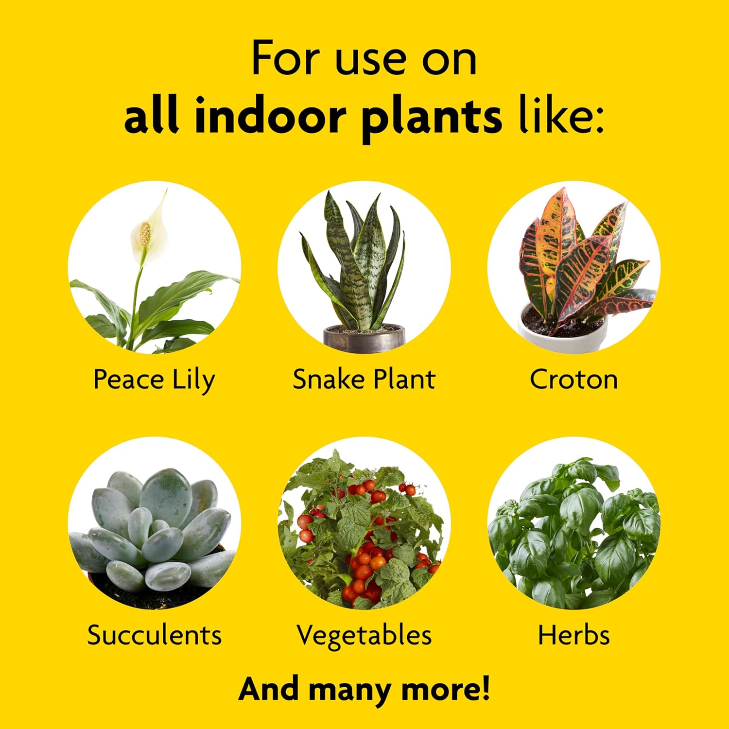 Miracle-Gro Indoor Plant Food, Liquid Plant Food For Houseplants, Snake Plants, Peace Lilies, Flowers, Vegetables, Herbs And More, 8 Oz., 2-Pack