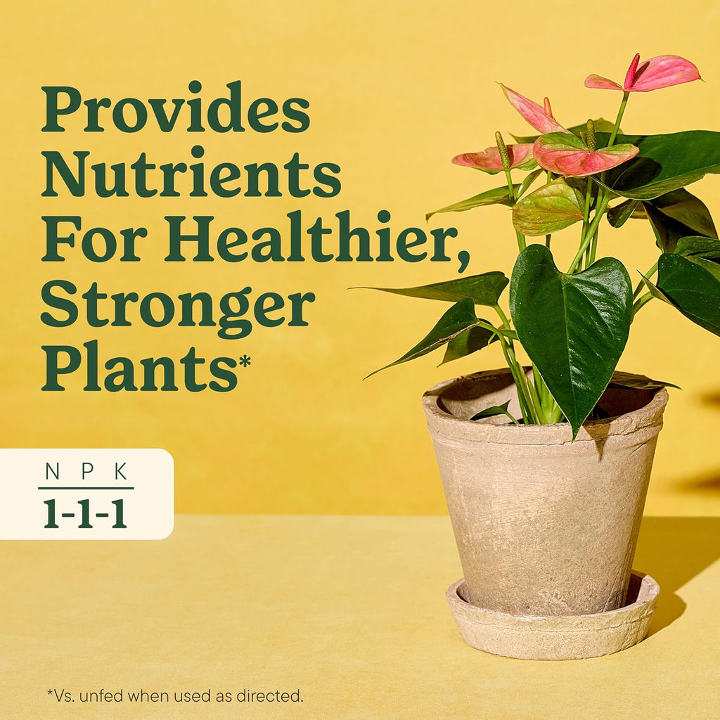 Miracle-Gro Indoor Plant Food For All Plants, 8 Fl. Oz. (2-Pack) | Liquid Plant Food For Houseplants, Flowers, Vegetables, Herbs, And More