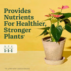 Miracle-Gro Indoor Plant Food For All Plants, 8 Fl. Oz. (2-Pack) | Liquid Plant Food For Houseplants, Flowers, Vegetables, Herbs, And More