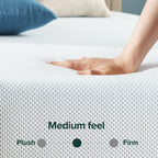 Zinus 8 Inch Green Tea Cooling Memory Foam Mattress [New Version], Twin, Fiberglass Free, Medium Firmness, Cooling Gel Foam, Certified Safe Foams & Fabric, Mattress in A Box