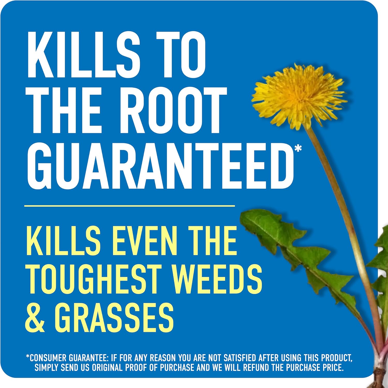 Roundup Weed & Grass Killer₄ Concentrate, Use In And Around Flower Beds, Walkways And Other Areas Of Your Yard, 1 Gal.