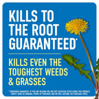 Roundup Weed & Grass Killer4 With Pump 'N Go 2 Sprayer, 1.33 Gal. | Ready-To-Use Bug Killer With Comfort Wand, Kills Ants, Roaches And Spiders, Use In Kitchens, Bathrooms And Home Perimeter