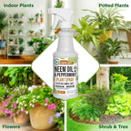Mighty Mint Neem Oil & Peppermint Plant Nutrient Spray – Natural Leaf Shine For Indoor & Outdoor Use – Plant-Based Formula For Stronger, Healthy Plants - 16 Oz