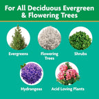 Miracle-Gro Tree & Shrub Plant Food Spikes, 12 Spikes | For Deciduous, Flowering And Evergreen Trees, Hydrangeas, And Acid-Loving Plants