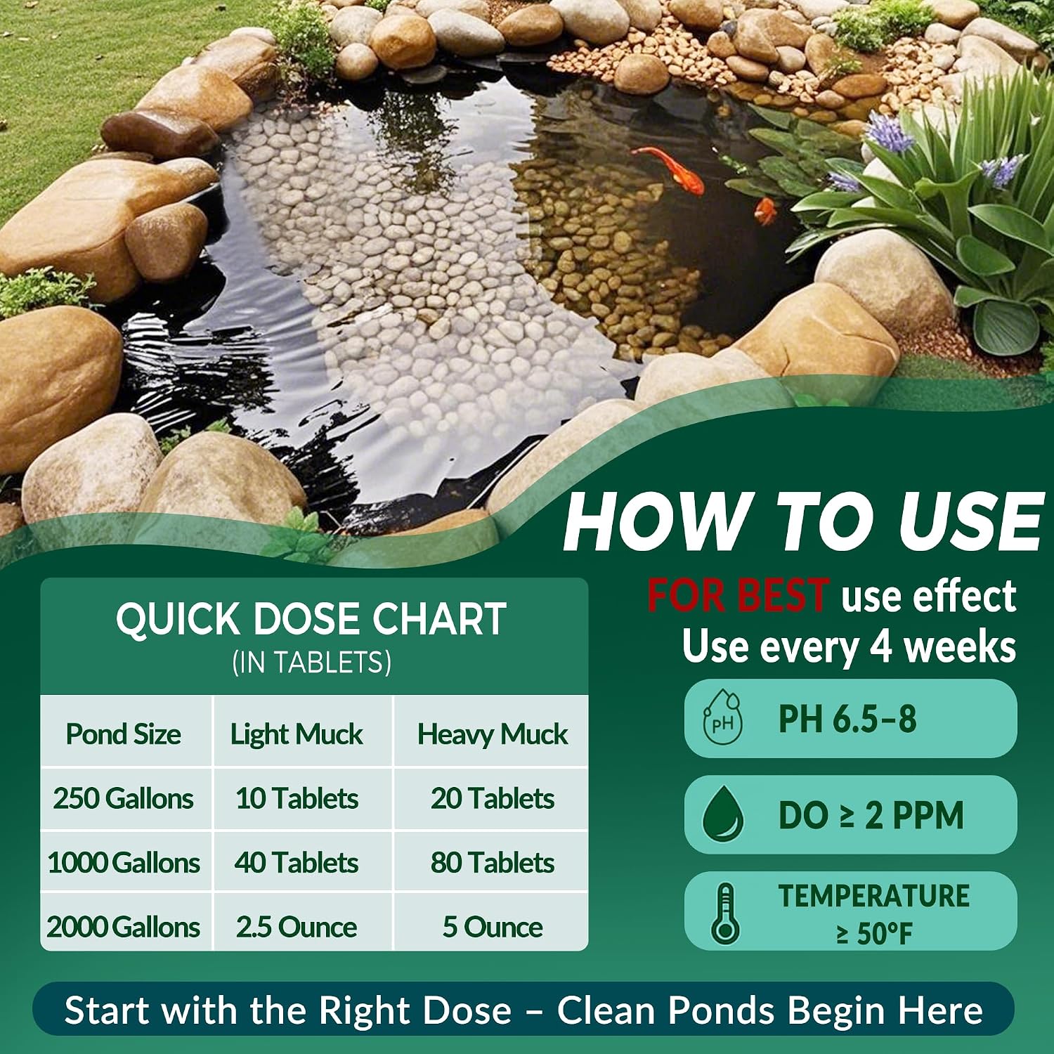 Muck Clear – Natural Pond Sludge Treatment, 500 Tablets For Ponds, Fountains & Bird Baths, Beneficial Bacteria & Enzymes, Chemical-Free & Safe For Fish, Pets & Wildlife