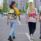 Silkfly 100 Pack Clear Backpacks Bulk Pvc Transparent Bookbags Heavy Duty See Through Bags With Pockets For Stadium Work Travel (15 X 11 X 5.2 Inches,Black,Gray,Blue,Pink)