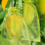Niubier 50 Pcs Fruit Protection Bags, 6×9 In Green Fruit Nets For Fruit Tree, Drawstring Mesh Cover Bags To Protect Vegetables Tomato Strawberry Garden