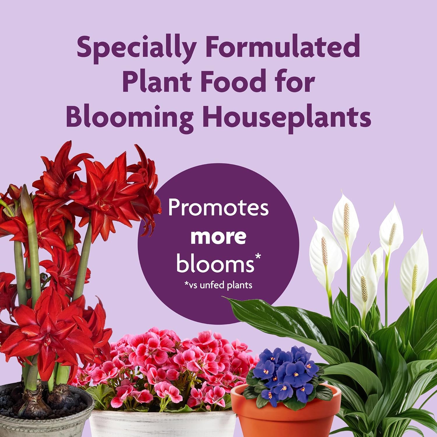 Miracle-Gro Blooming Houseplant Food, 8 Fl. Oz. | Fertilizer For Indoor Plants