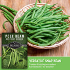 Kentucky Wonder Pole Bean Seeds For Planting (1 Pack) | Heirloom Climbing Green Beans For Trellis Growing - Long Harvest Season, Stringless Pods - Survival Garden Seeds