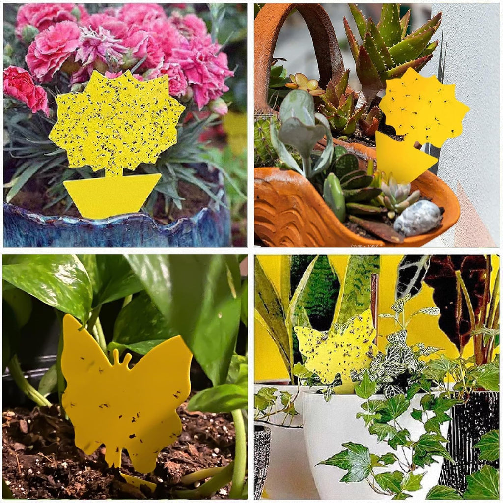 58 Pack Yellow Sticky Gnat Traps For Plants - Fungus Gnat Killer, Fruit Fly Traps For Indoors, Gnat Sticky Traps For Plants, Family Friendly Design, Sunflower + Butterfly Shapes
