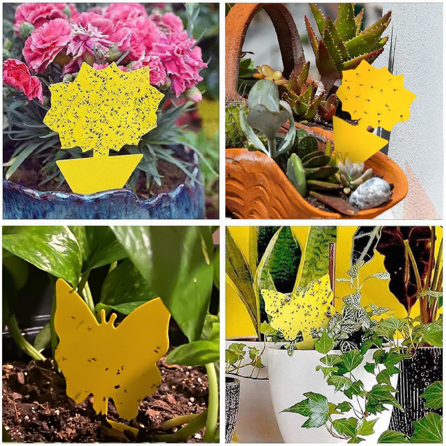 58 Pack Yellow Sticky Gnat Traps For Plants - Fungus Gnat Killer, Fruit Fly Traps For Indoors, Gnat Sticky Traps For Plants, Family Friendly Design, Sunflower + Butterfly Shapes