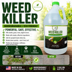 Natural Elements Weed Killer | Pet Safe, Safe Around Children | Natural Herbicide (1 Gallon)