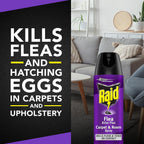 Raid Flea Killer Carpet & Room Spray, Kills Hatching Eggs For Up To 4 Months, 16 Oz