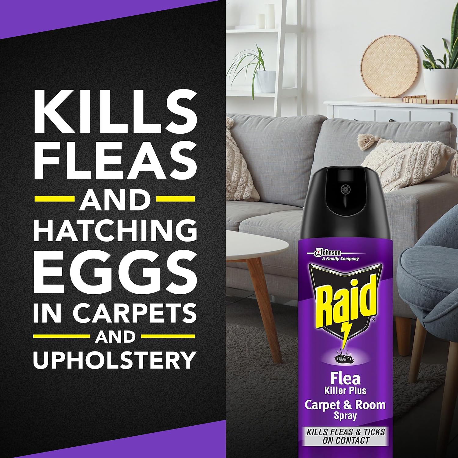 Raid Flea Killer Carpet & Room Spray, Kills Hatching Eggs For Up To 4 Months, 16 Oz