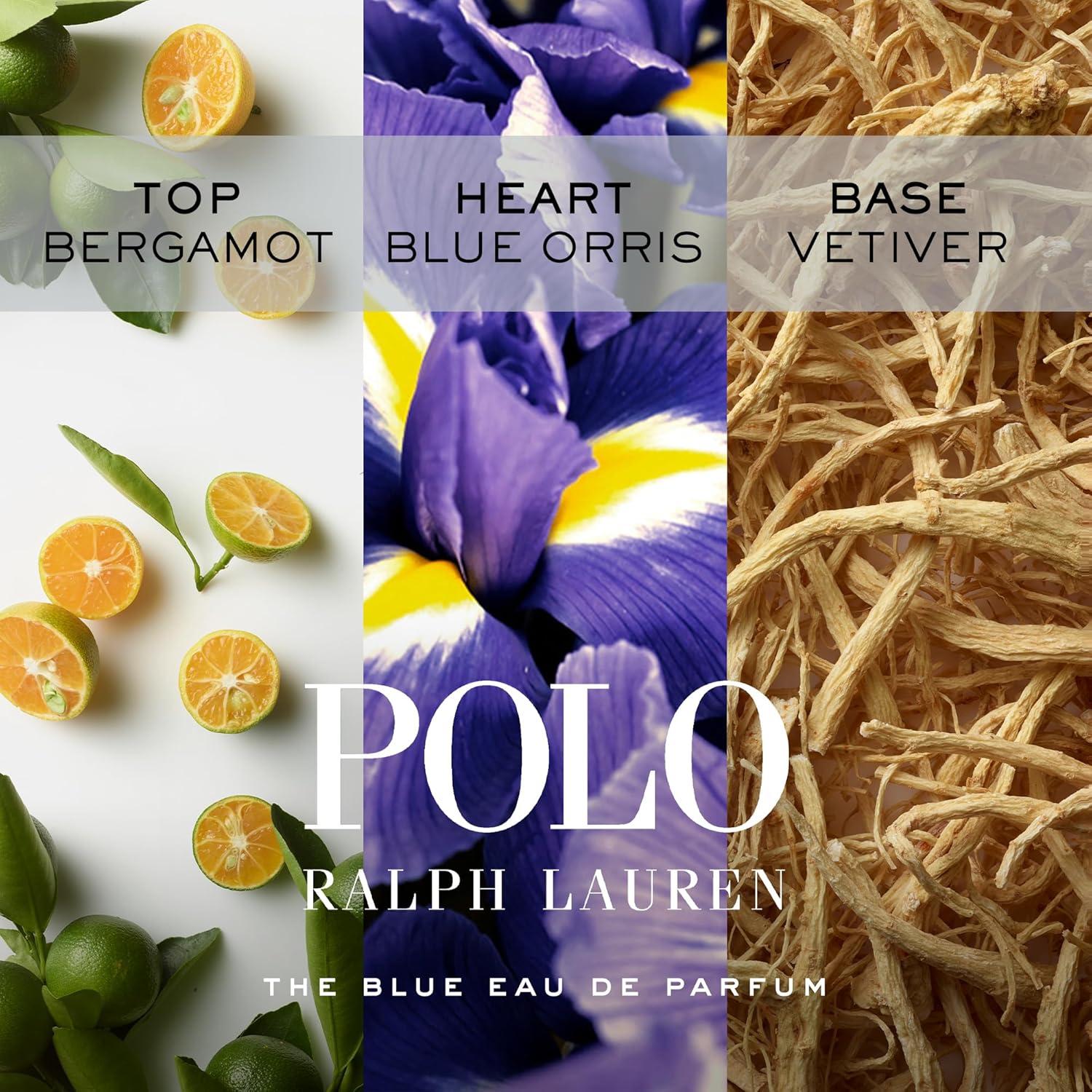 RALPH LAUREN FRAGRANCES - Polo Blue - Eau de Parfum - Men's Cologne - Aquatic & Fresh - With Citrus, Bergamot, and Vetiver - Medium Intensity