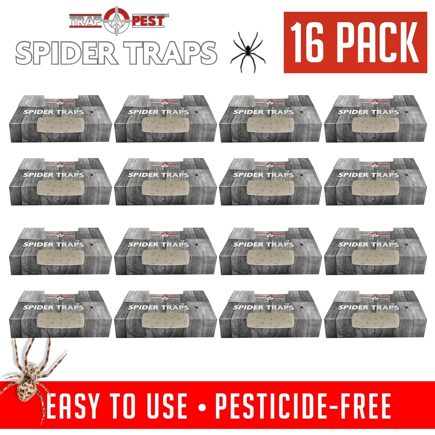 Spider Traps For Inside Your Home (16 Traps) - Spider Catcher Insect Traps Indoor - Spider Traps Indoor Bug Traps Sticky Traps For Spiders - Pre Baited Ultra Sticky Insect Glue Traps - Trap A Pest