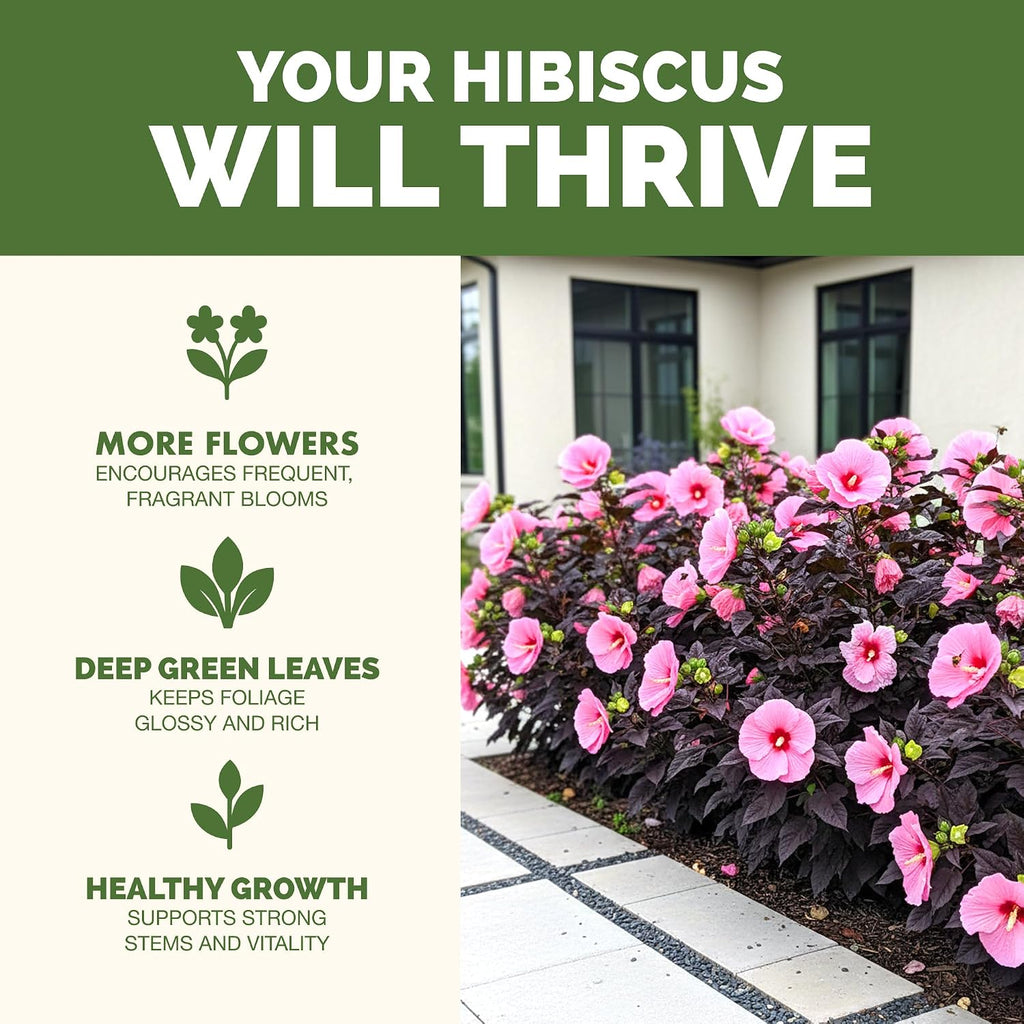 Hibiscus Fertilizer – Liquid Plant Food For More Blooms, Vibrant Color & Healthy Tropical Growth, 8 Oz