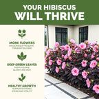 Hibiscus Fertilizer – Liquid Plant Food For More Blooms, Vibrant Color & Healthy Tropical Growth, 8 Oz