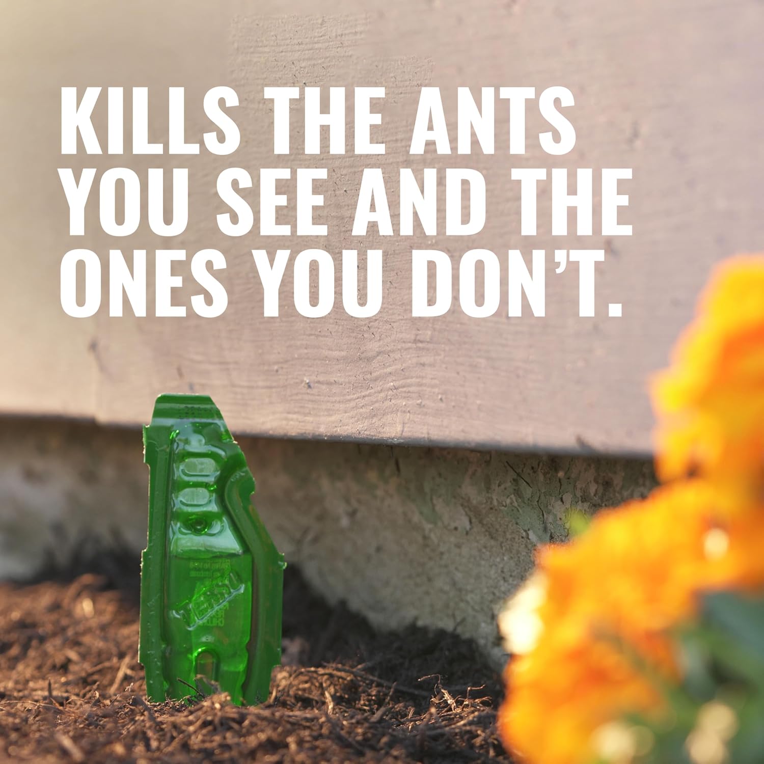 Terro Outdoor Liquid Ant Bait Stakes, 12-Pack, Ready-To-Use Ant Killer Trap | Outdoor Ant Trap For Household Ants Including Acrobat, Crazy, Ghost And Little Black Ants, Weatherproof Ant Colony Killer