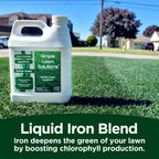 Simple Lawn Solutions - Liquid Iron Fertilizer Darker Green - Chelated Micronutrients - Concentrated Green Booster For Turf Grass, Indoor Plants And Outdoor Garden (32 Ounce)