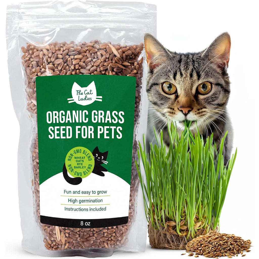 The Cat Ladies 100% Organic Cat Grass Seed (Non Gmo) 8Oz
