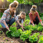 20,000+ Lettuce Seeds, Heirloom Vegetable Seed For Planting Indoor Outdoor, 10 Varieties Of Fresh Salad Greens For Hydroponics Kit, Easy To Grow For Garden Beginners, Non-Gmo