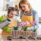 Fuijol Orchid Pot, 6 Pack 4 Inch (Top Diameter) Clear Orchid Pots With Holes And Saucers For Repotting, Breathable Slotted Plastic Orchid Planters With Drainage For Root Health Indoor Outdoor