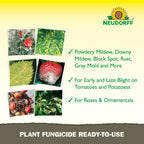 Neudorff Plant Fungicide Spray, Copper Soap Fungicide For Roses, Fruits & Vegetables Control Powdery Mildew And Other Diseases And Fungus For Organic Gardening, Ready-To-Use (Rtu (32 Oz))