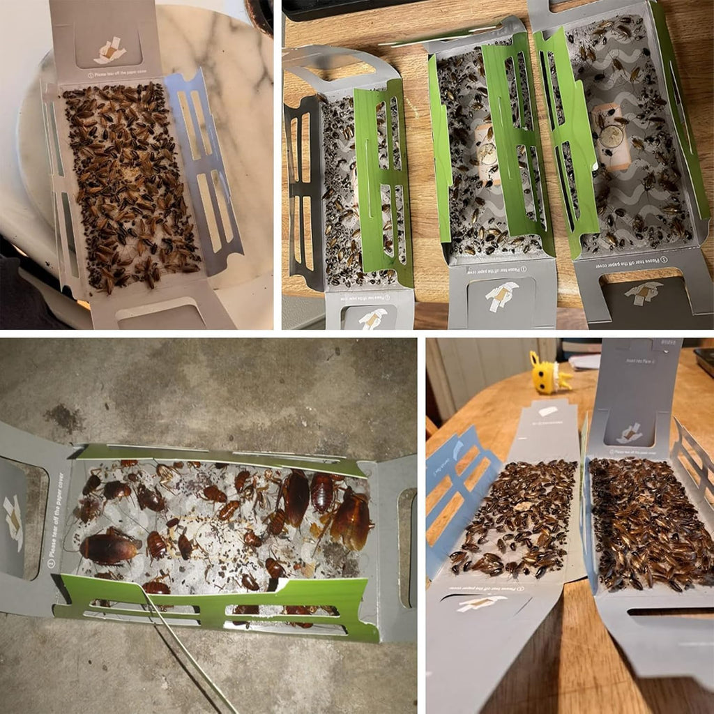 Cockroach Traps,Roach Traps,Cockroach Bait,Roach Motel,Child & Pet Friendly (10 Pack)