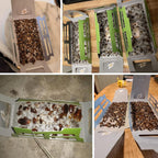 Cockroach Traps,Roach Traps,Cockroach Bait,Roach Motel,Child & Pet Friendly (10 Pack)