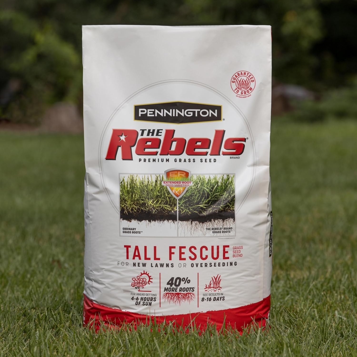 Pennington The Rebels Tall Fescue, Tall Fescue Grass Seeds For Lawn, 7 Lb