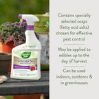 Garden Safe Brand Insecticidal Soap Insect Killer, 32 Fluid Ounces, For Organic Gardening, Kills Bugs Through Contact