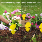Fruit Fly & Fungus Gnat Traps 40 Pack, Yellow Sticky Traps | Non-Toxic, Odorless Yellow Sticky Traps For Fruit Flies, Fungus Gnats, Whiteflies, Aphids & Other Flying Pests.