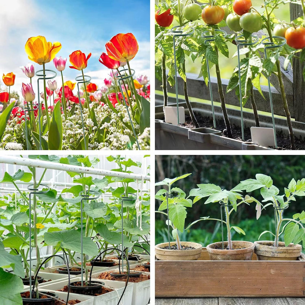 12 Pack 16 Inch Plant Support Stakes, Metal Single Stemmed Flower Support Hoops，Garden Plant Stakes Plant Prop For Amaryllis Orchid Lily Rose Peony Tomatoes Gladiolus