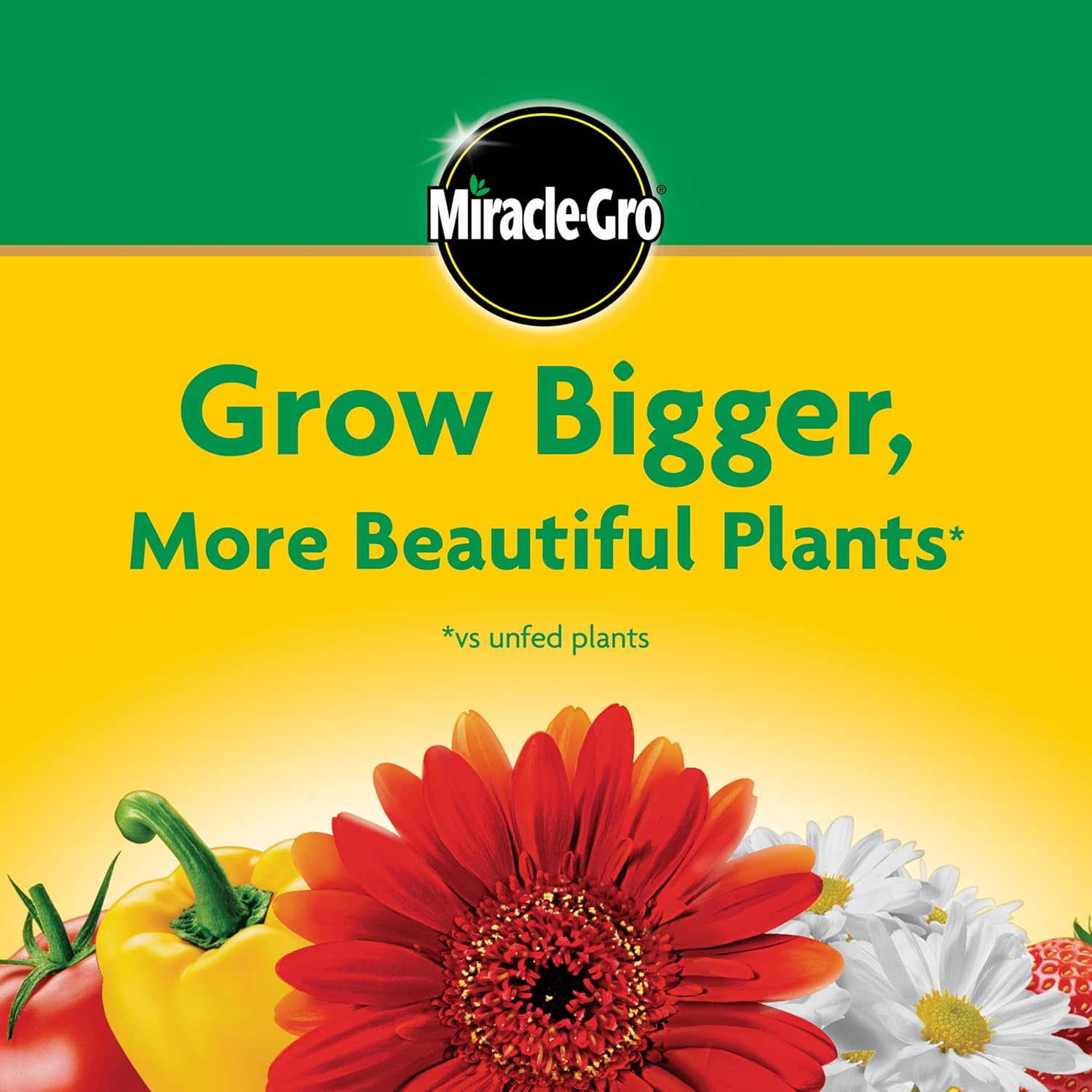 Miracle-Gro Water Soluble All Purpose Plant Food, 1.5 Lbs. | Fertilizer For All Indoor Or Outdoor Plants Including Roses, Flowers, Vegetables, Houseplants, Trees, And Shrubs