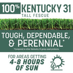 Pennington Kentucky 31 Fescue 3 Lb Tall Fescue Grass Seed, Grass Seeds For Lawn