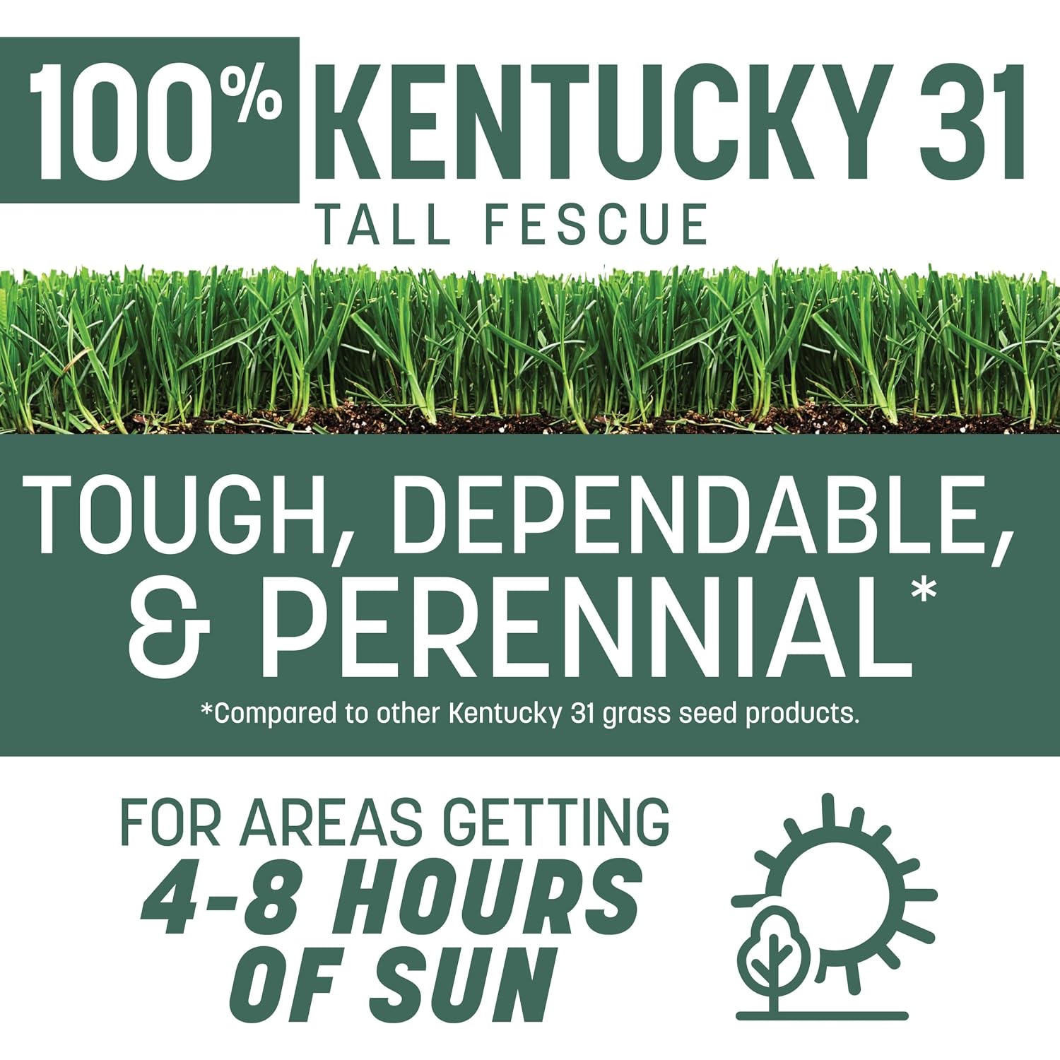 Pennington Kentucky 31 Fescue 3 Lb Tall Fescue Grass Seed, Grass Seeds For Lawn