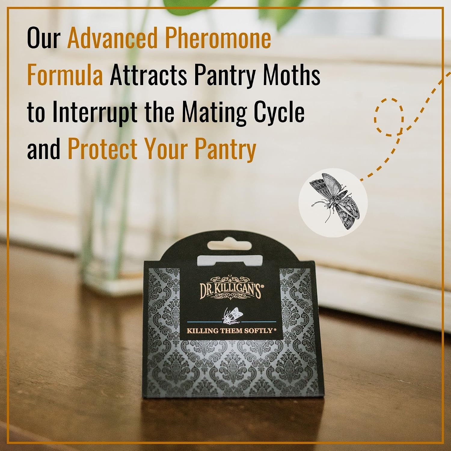 Dr. Killigan'S 6-Pack Pantry Moth Traps With Pheromones Prime - Premium Patented Double Strength Sticky Indian Meal Moth Traps For Kitchen And Pantry