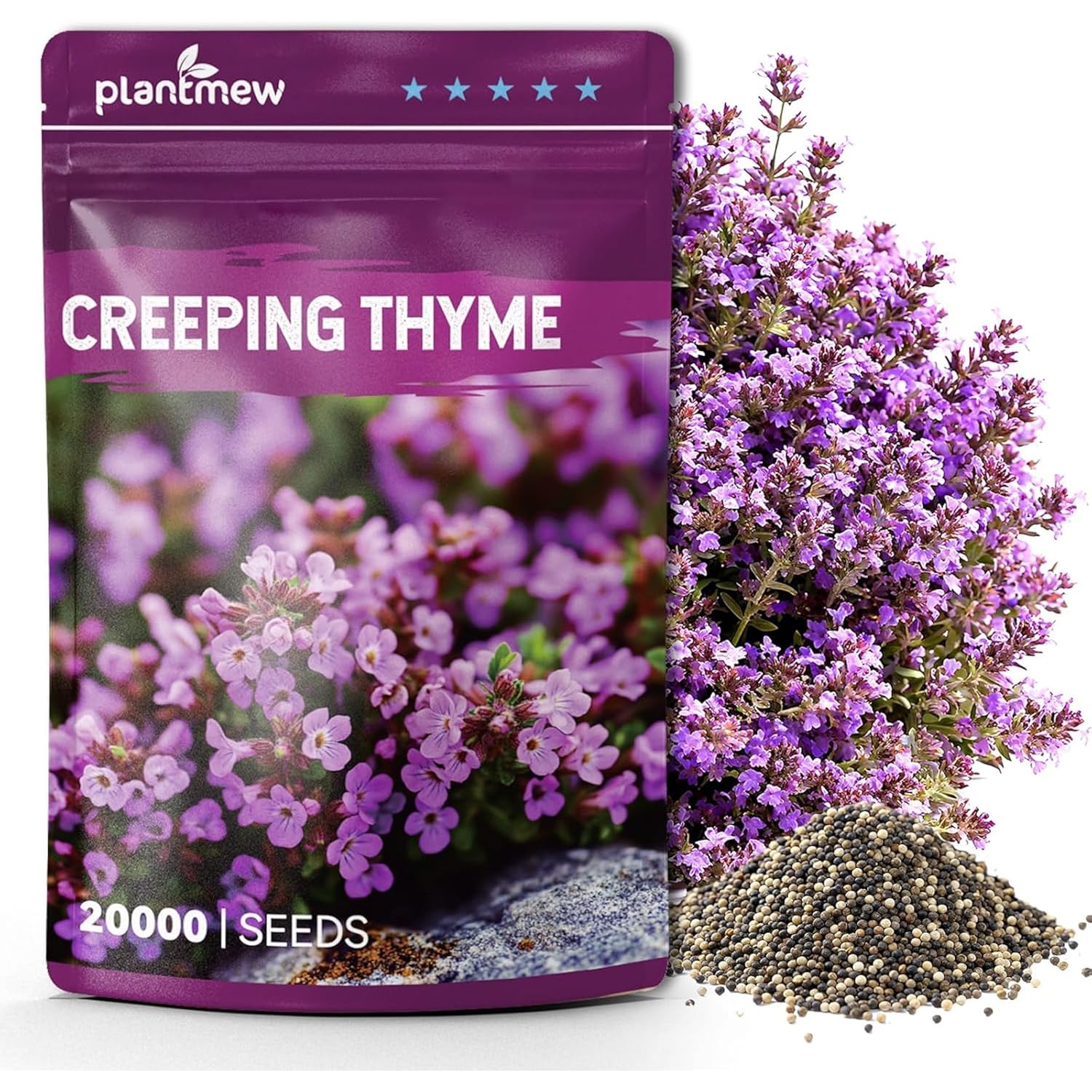 20000+ Creeping Thyme Seeds (Thymus Serpyllum), Ground Cover Seeds, Fragrant Lawn Alternative For Garden, Paths & Landscaping (10G / 0.35 Oz)