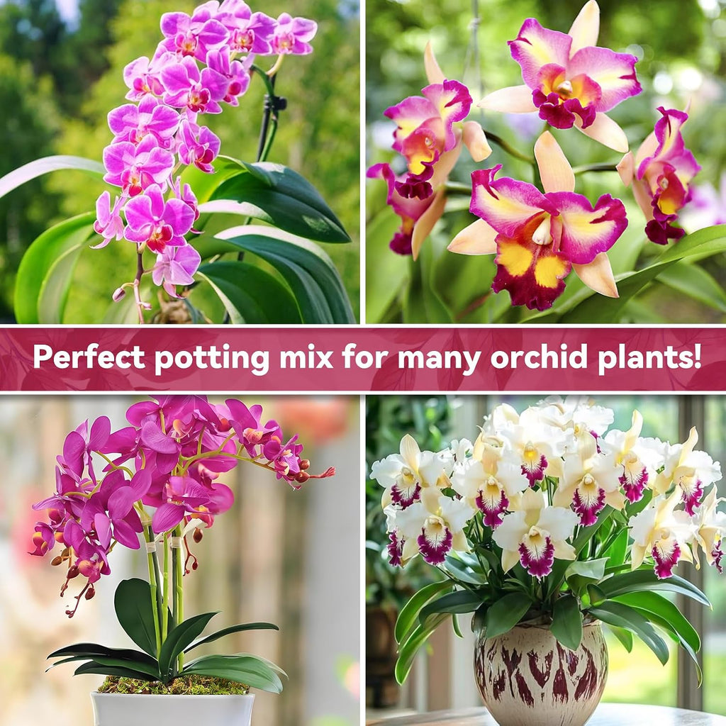 1Qt Orchid Potting Mix For Repotting- Orchid Repotting Kit Include Moss, Pine Bark, Perlite, Coco Peat- Premium Orchid Soil Medium For Indoor Potted Plants Root Ventilation & Expanding