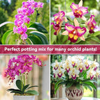 1Qt Orchid Potting Mix For Repotting- Orchid Repotting Kit Include Moss, Pine Bark, Perlite, Coco Peat- Premium Orchid Soil Medium For Indoor Potted Plants Root Ventilation & Expanding