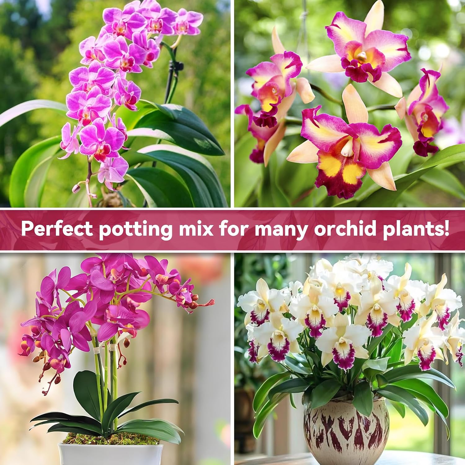 1Qt Orchid Potting Mix For Repotting- Orchid Repotting Kit Include Moss, Pine Bark, Perlite, Coco Peat- Premium Orchid Soil Medium For Indoor Potted Plants Root Ventilation & Expanding