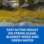 Crystalclear Algae D-Solv Epa Registered Pond Algaecide, 1 Gallon | Fast-Acting Algae Control For Fountains & Outdoor Ponds Containing Koi & Other Fish, 1 Gal Treats 46,080 Gallons.
