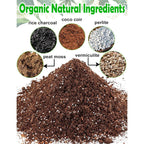 Potting Soil For All Indoor Houseplants, Contains Perlite, Peat Moss, Coco Coir And Rice Charcoal, Well Draining Potting Mix Light, Aerated Texture For Healthy Plant Roots And Fast Growth 1Qt