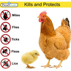 Premo Guard Poultry Spray - 32 Oz - Kill Scaly Leg, Mites, Fleas, Lice, & Other Pest On Chickens And In Coops - Natural Plant Based Oils For Control, & Prevention - Family Safe With No Egg Withdrawl